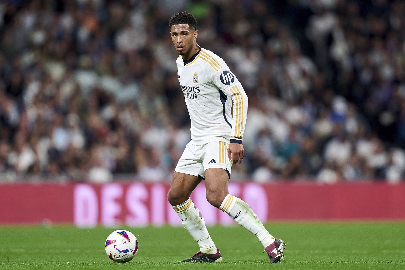 不可多得的 不可多得的