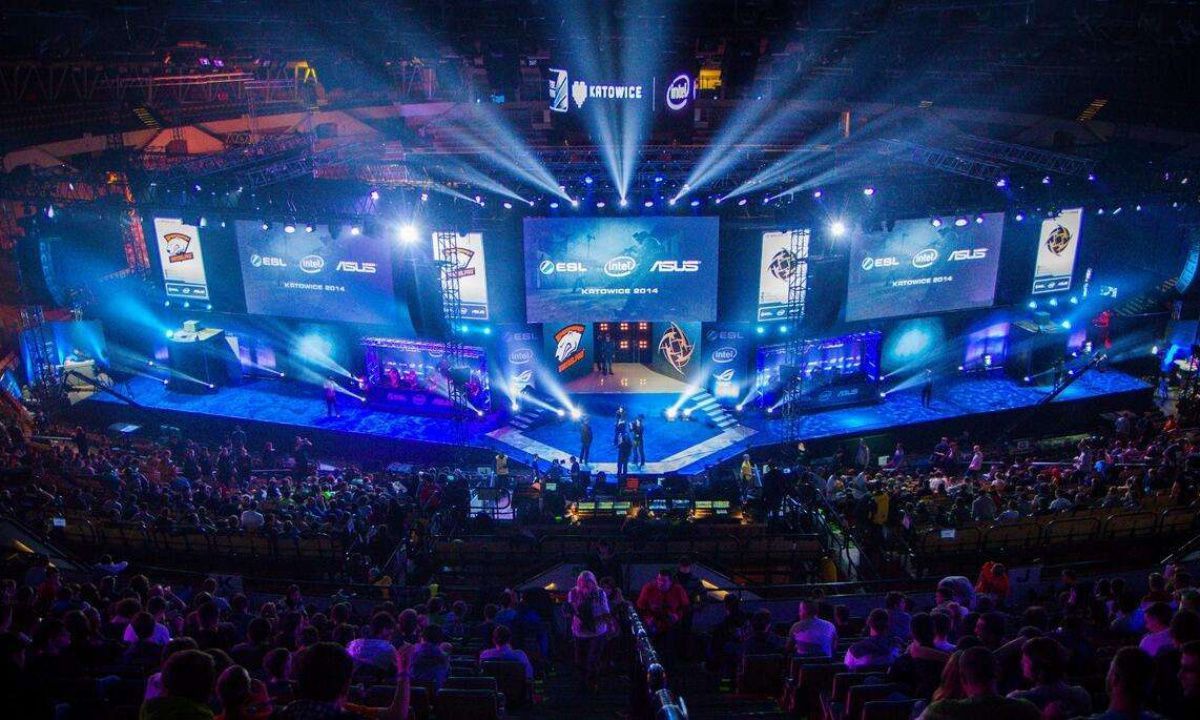 灰熊引进考 灰熊引进考